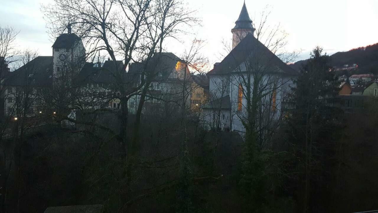 Waldshut Suite In Zentrum Extérieur photo